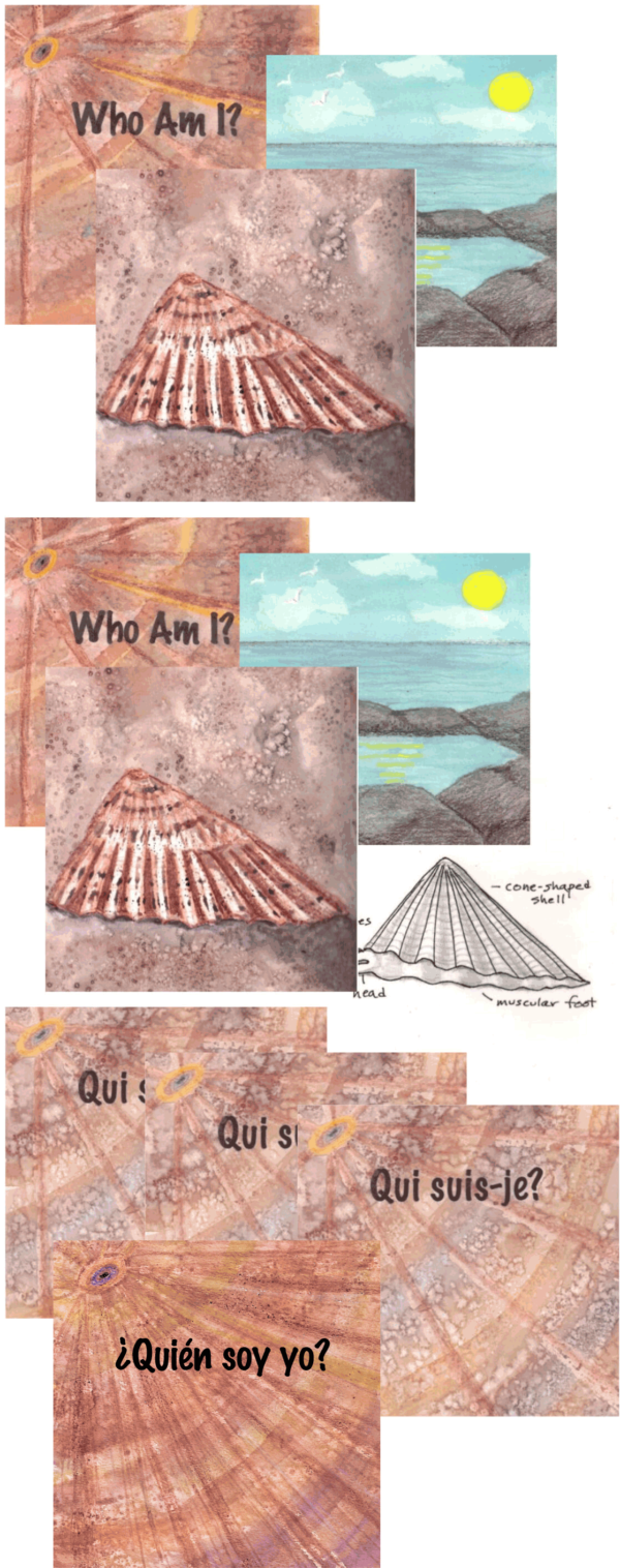 Who Am I? Limpet trifolds