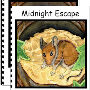 Midnight Escape