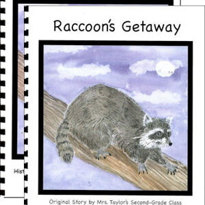 Raccoon's Getaway