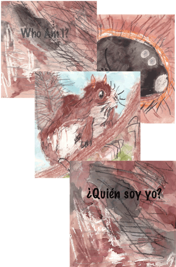 Who Am I? squirrel trifold